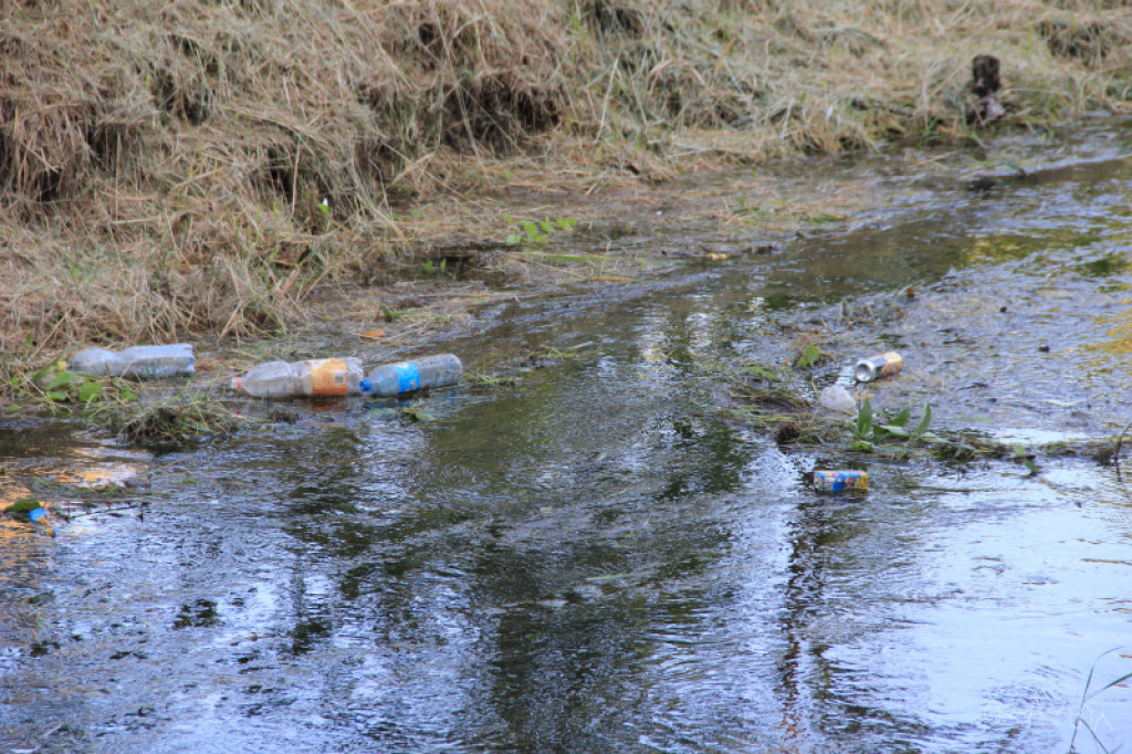 Niezdobna w okolicy ul. Rzecznej w Szczecinku