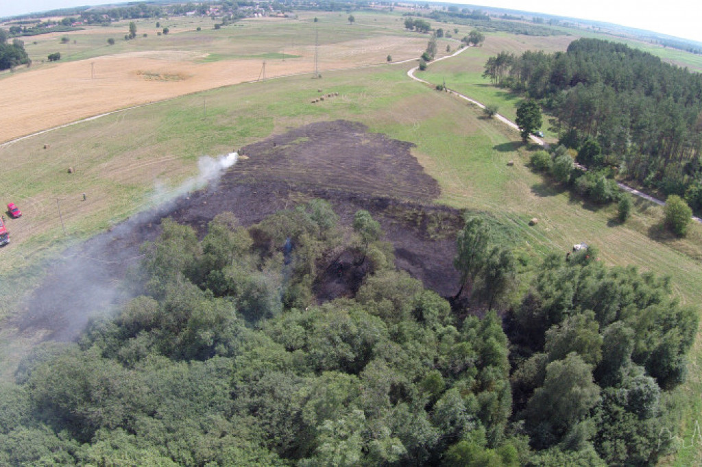 Pożar w okolicy Parsęcka