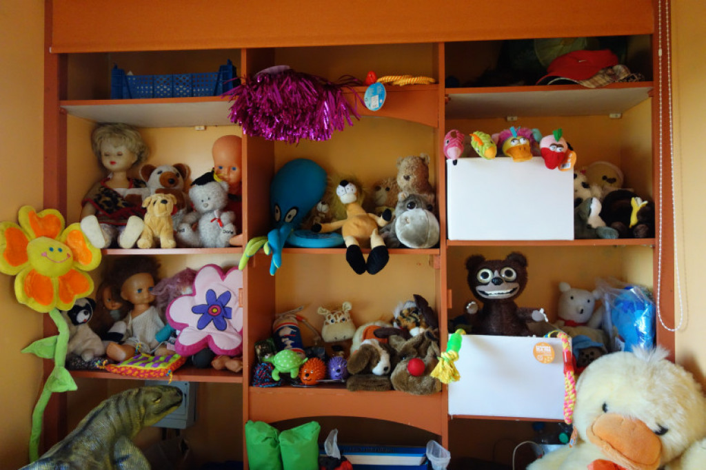 LikeDog - pierwszy w Szczecinku profesjonalny Ośrodek Szkoleniowo-Rehabilitacyjny dla Psów