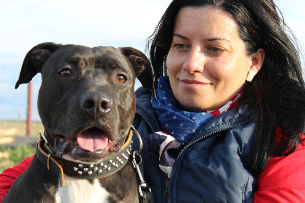 LikeDog - pierwszy w Szczecinku profesjonalny Ośrodek Szkoleniowo-Rehabilitacyjny dla Psów