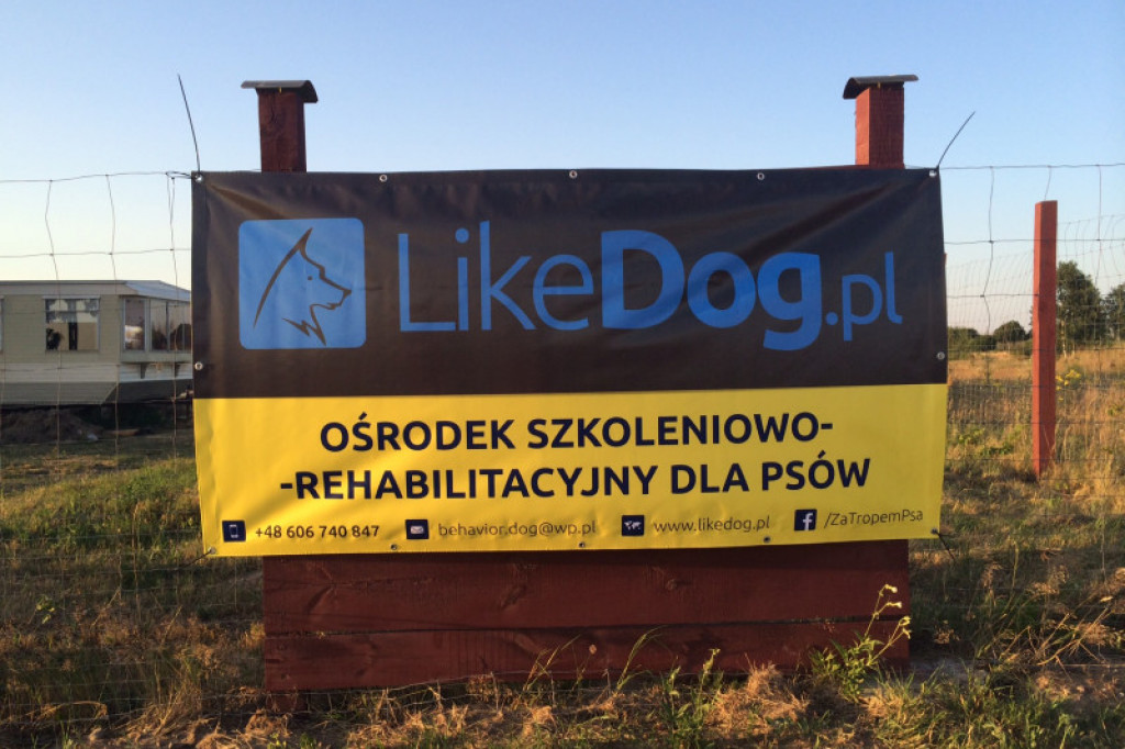 LikeDog - pierwszy w Szczecinku profesjonalny Ośrodek Szkoleniowo-Rehabilitacyjny dla Psów