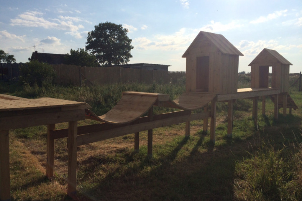 LikeDog - pierwszy w Szczecinku profesjonalny Ośrodek Szkoleniowo-Rehabilitacyjny dla Psów