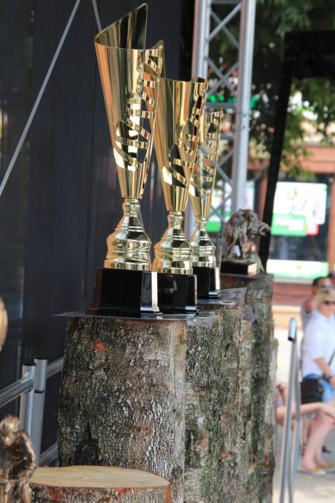 Wielki Turniej Leśników