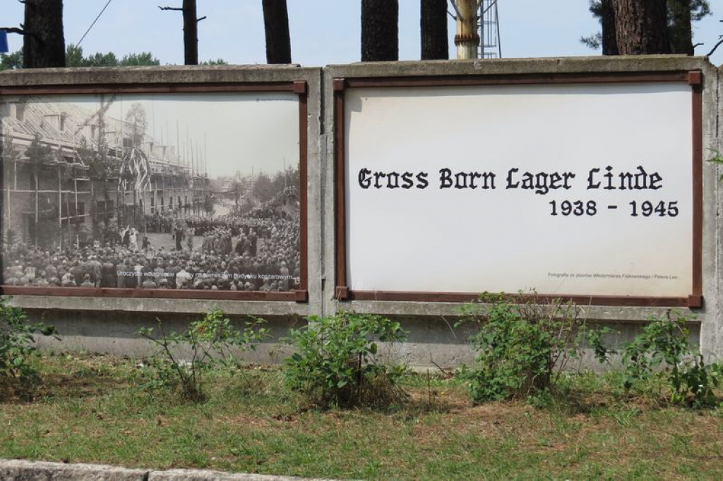 Niezwykła Historia w graffiti w Bornem