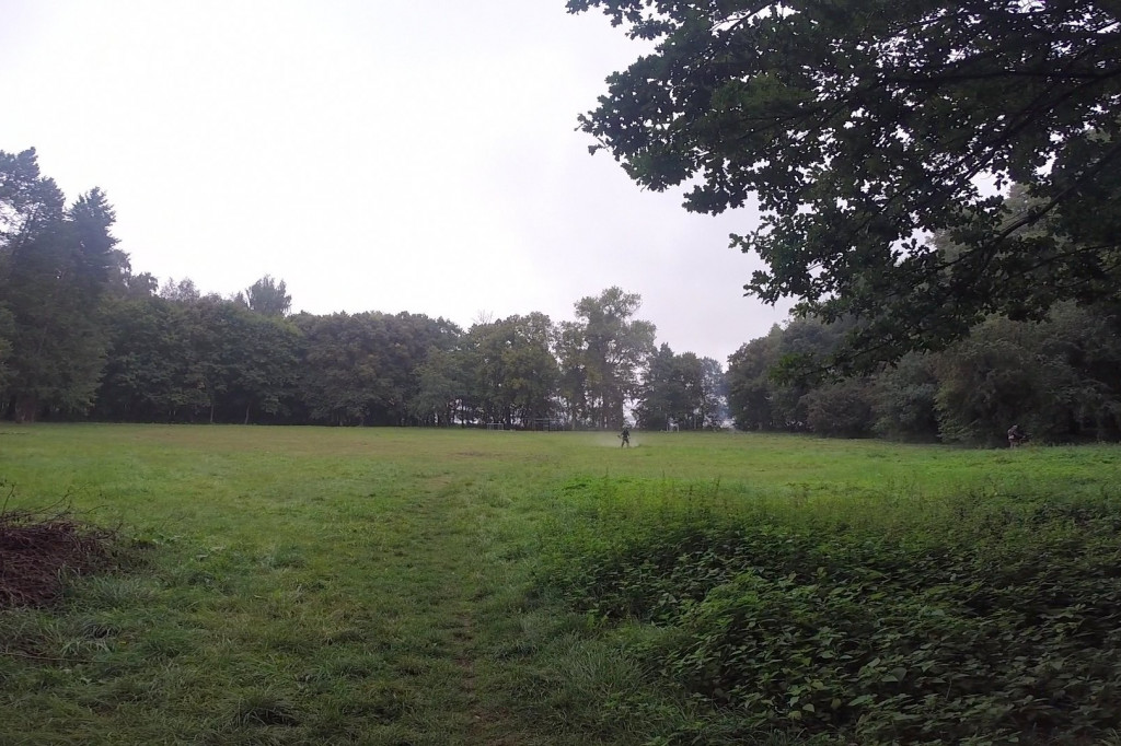 Powstaje wybieg dla psów