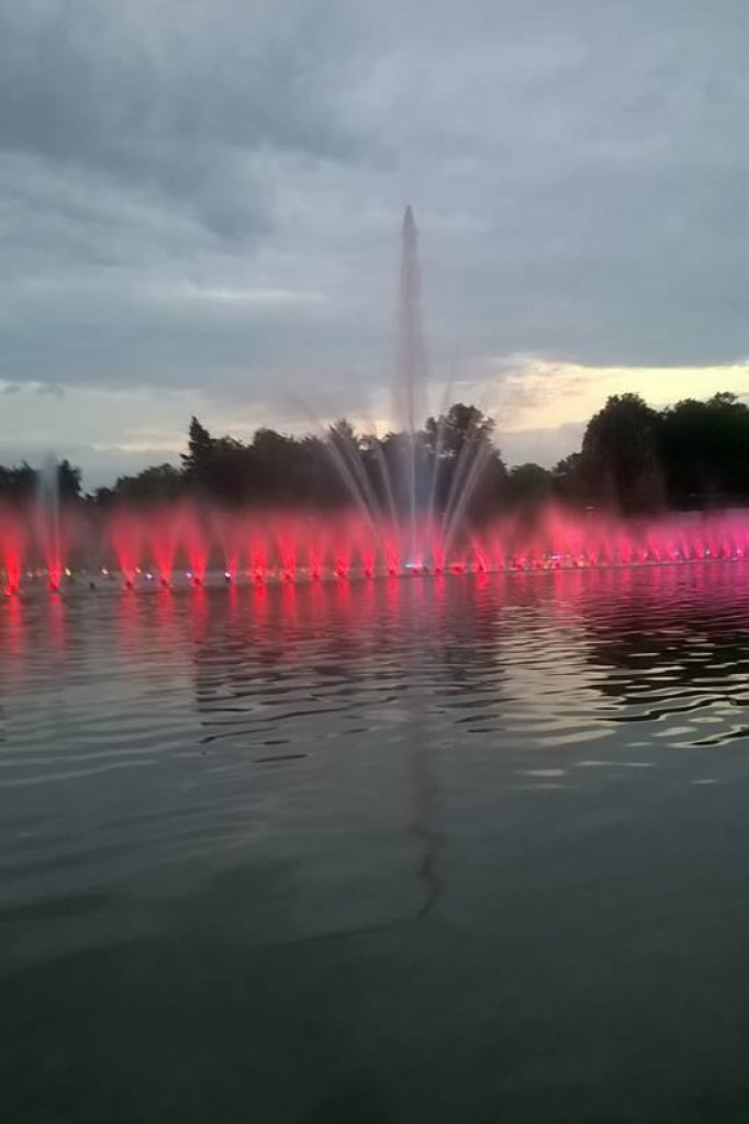 Knyki odkrywają Wrocław