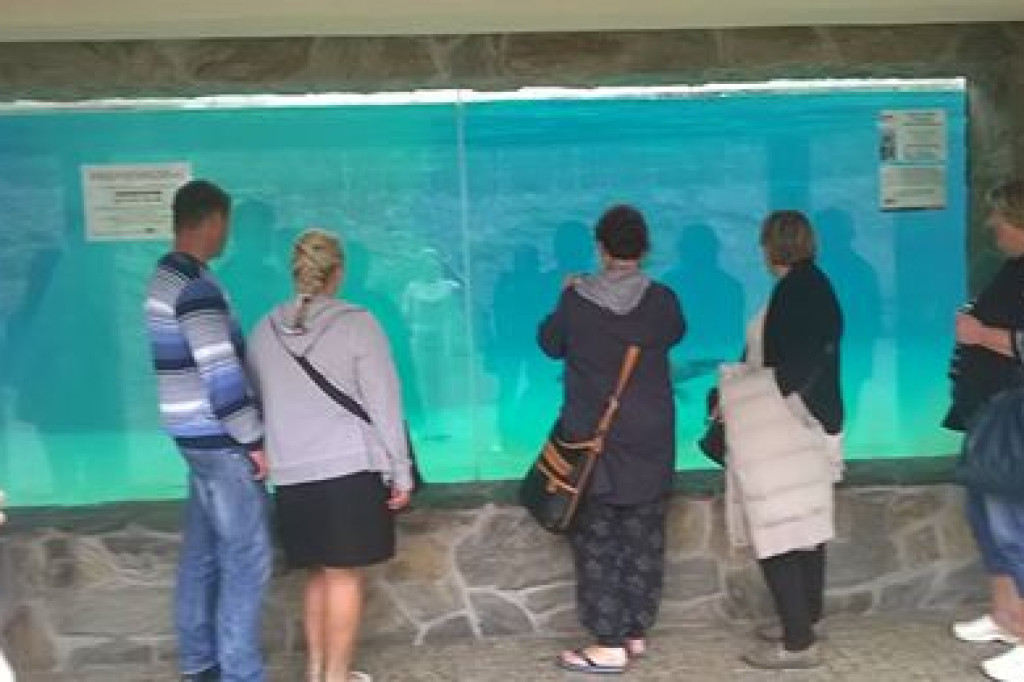 Knyki odkrywają Wrocław