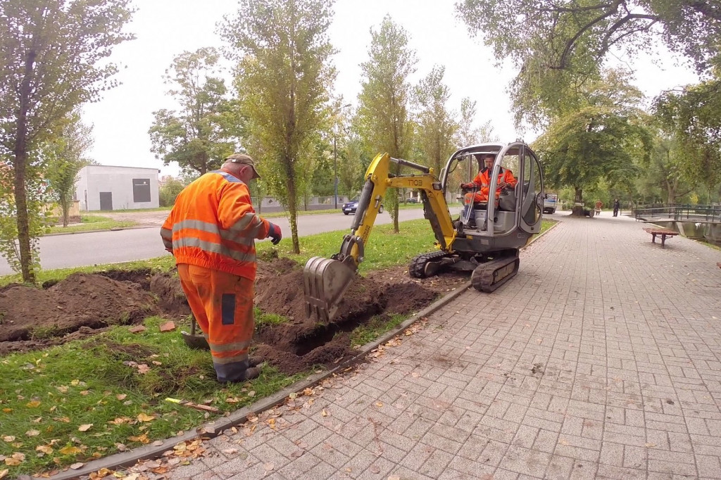 Kolejne słupki oświetlą parkową alejkę