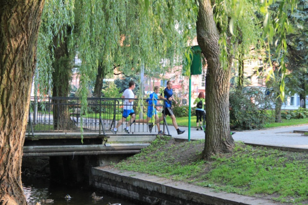 Pierwsze urodziny Parkrun Szczecinek