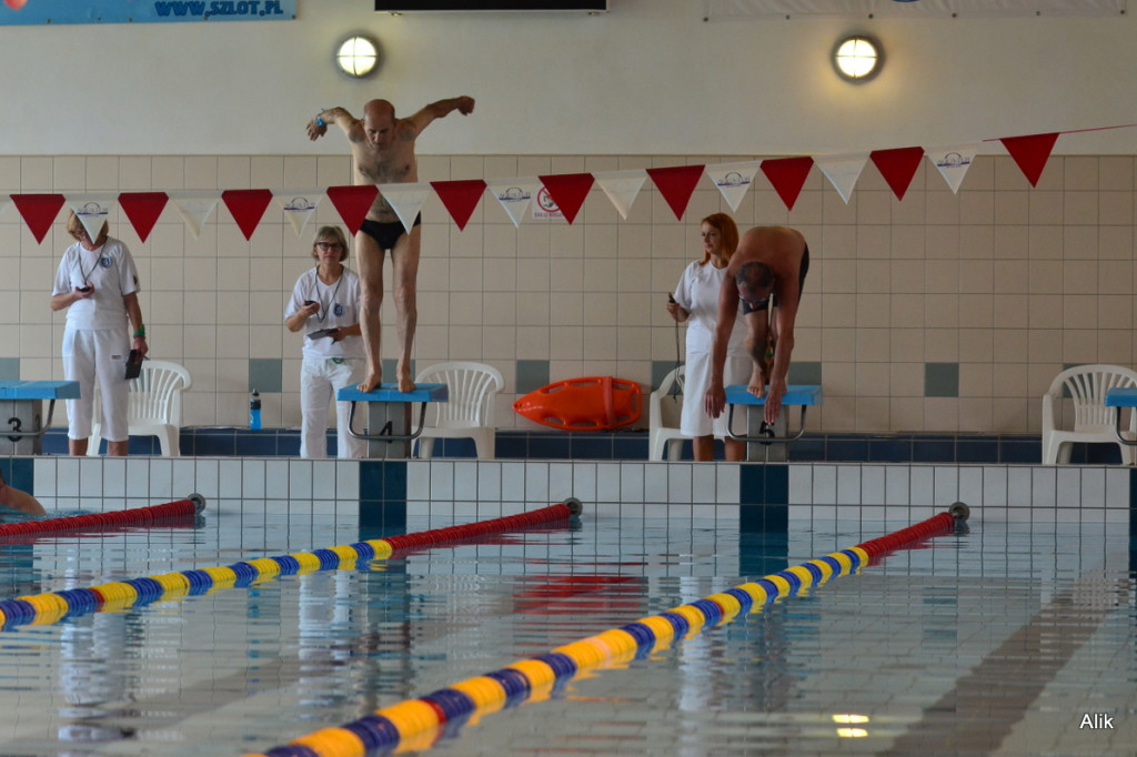 VI Międzynarodowy Mityng Pływacki Masters