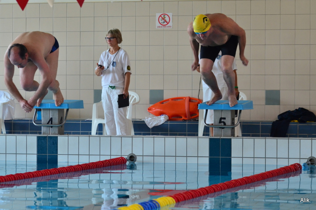 VI Międzynarodowy Mityng Pływacki Masters