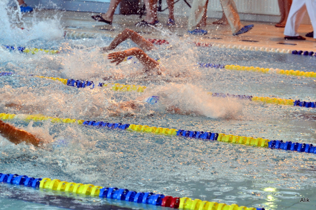 VI Międzynarodowy Mityng Pływacki Masters