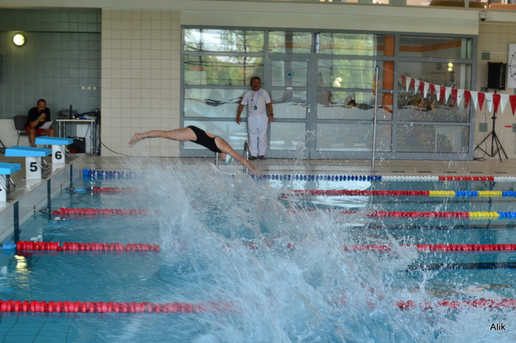 VI Międzynarodowy Mityng Pływacki Masters