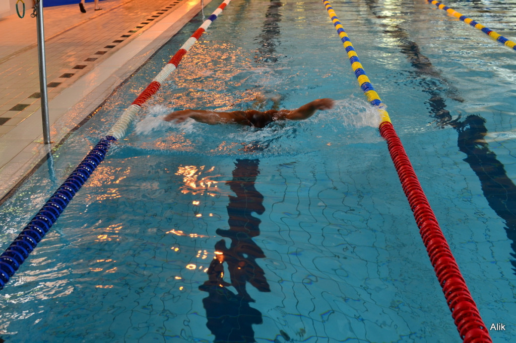 VI Międzynarodowy Mityng Pływacki Masters