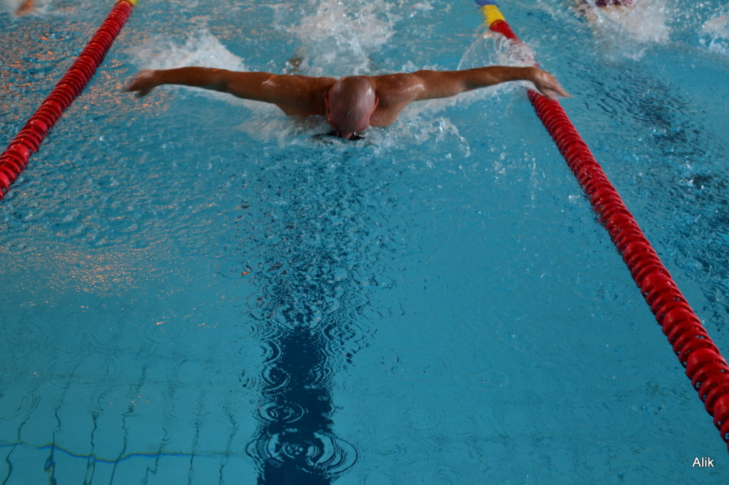 VI Międzynarodowy Mityng Pływacki Masters