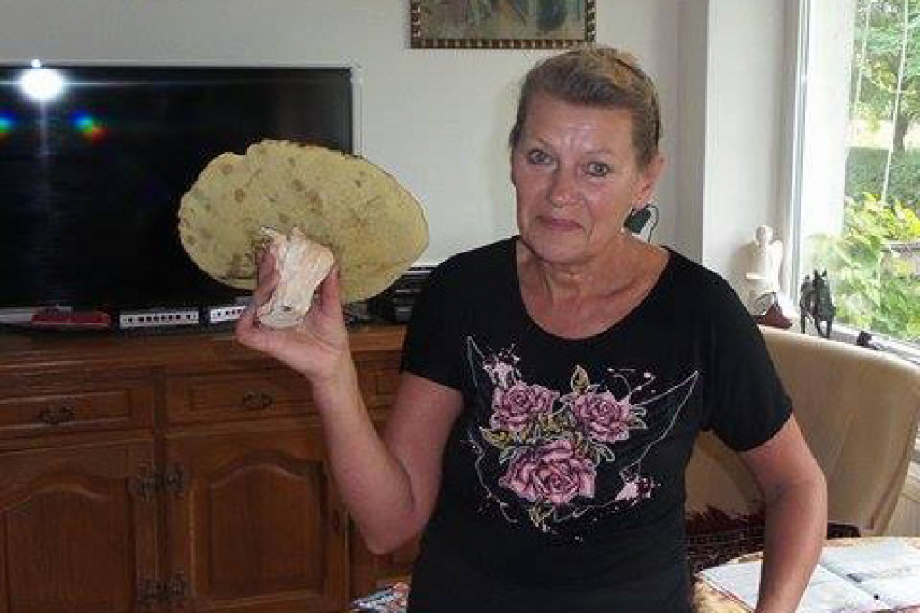 Zobacz grzyby giganty!