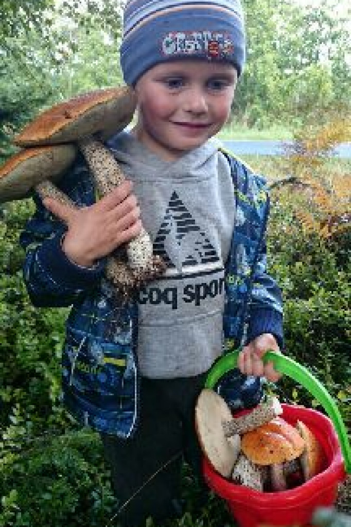 Zobacz grzyby giganty!