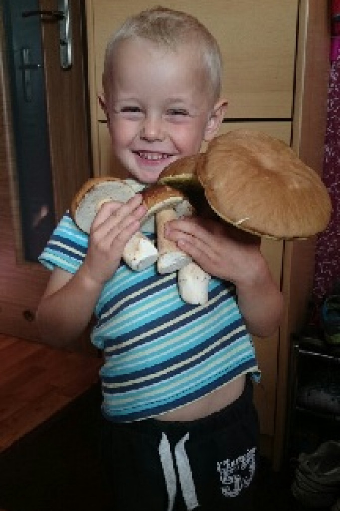 Zobacz grzyby giganty!