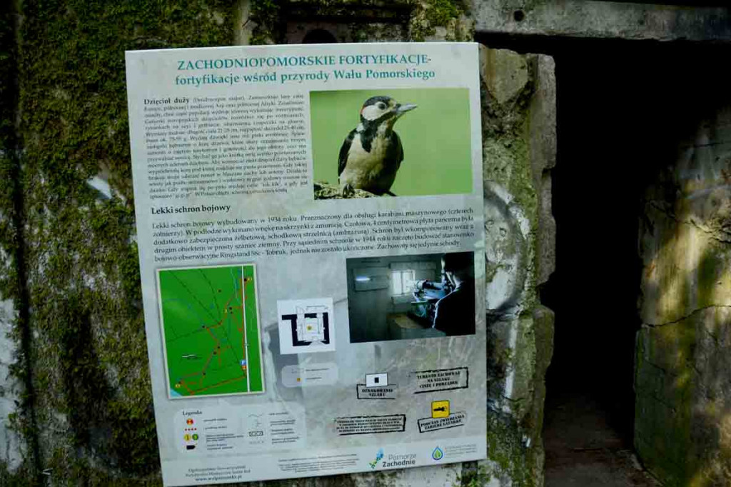 Opinia blogerki - W Szczecinku można się zakochać