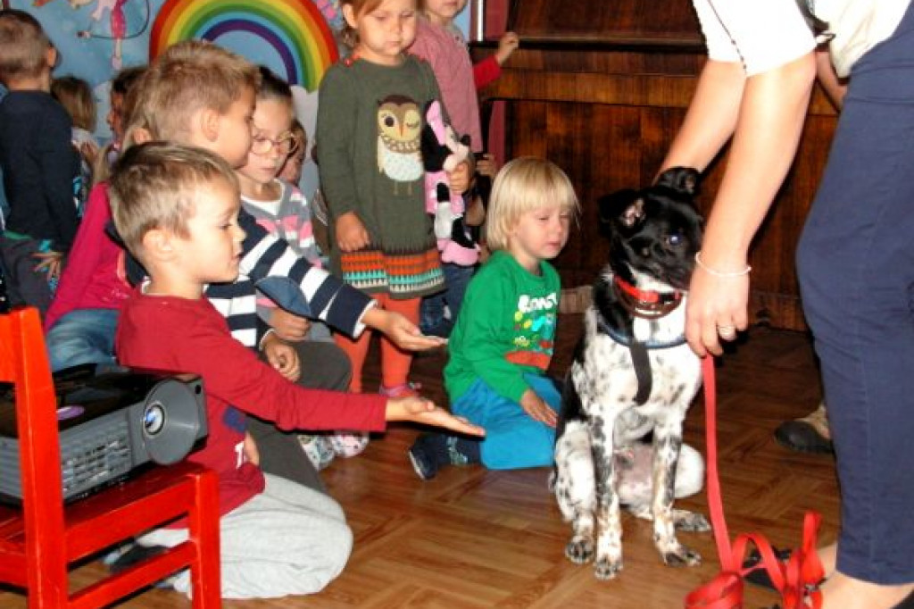 Przyjazne relacje przedszkolaków z Tęczy z psami