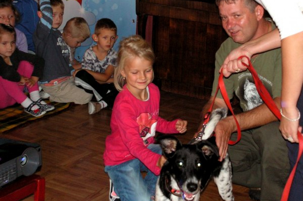 Przyjazne relacje przedszkolaków z Tęczy z psami