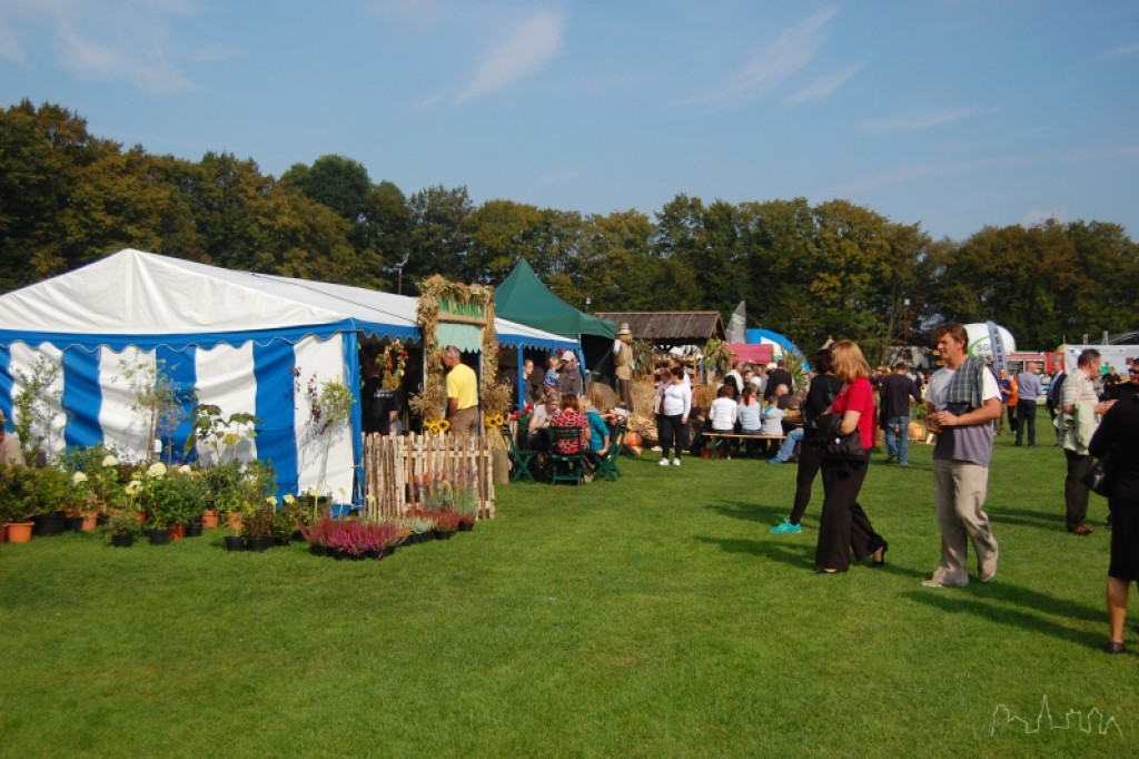 Dożynki powiatowo-gminne