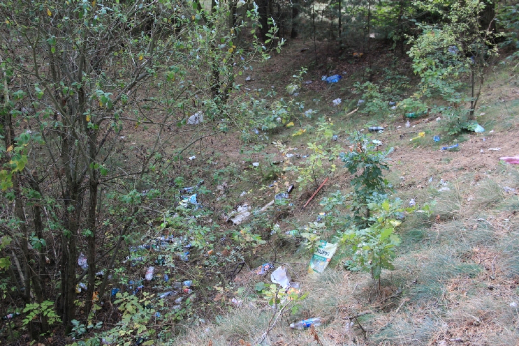 Bałagan przy Grota-Roweckiego