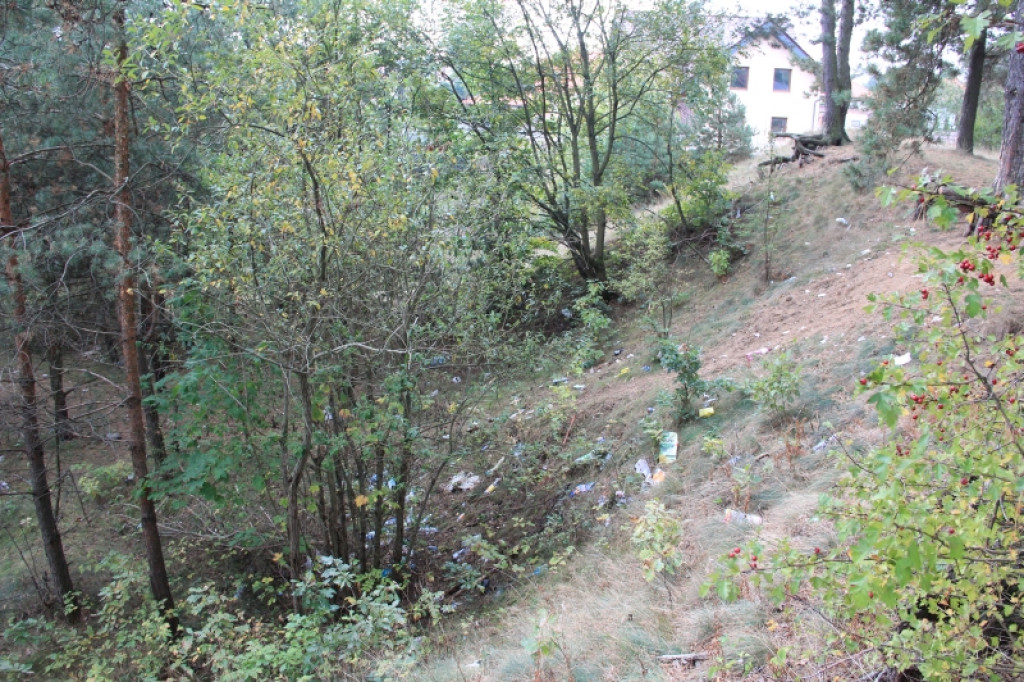 Bałagan przy Grota-Roweckiego