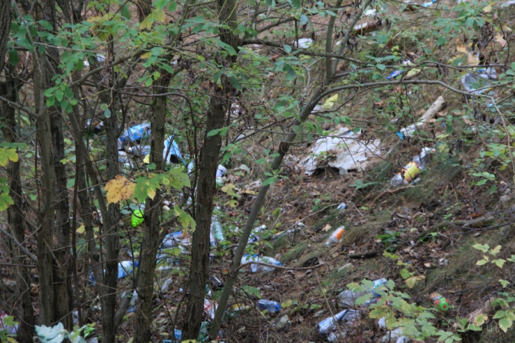 Bałagan przy Grota-Roweckiego