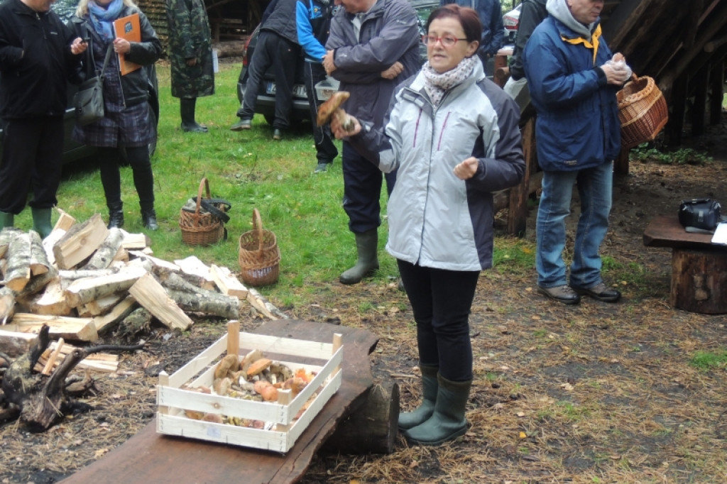 V Wojewódzki Konkurs ?Grzybobranie na wrzosowej polanie?
