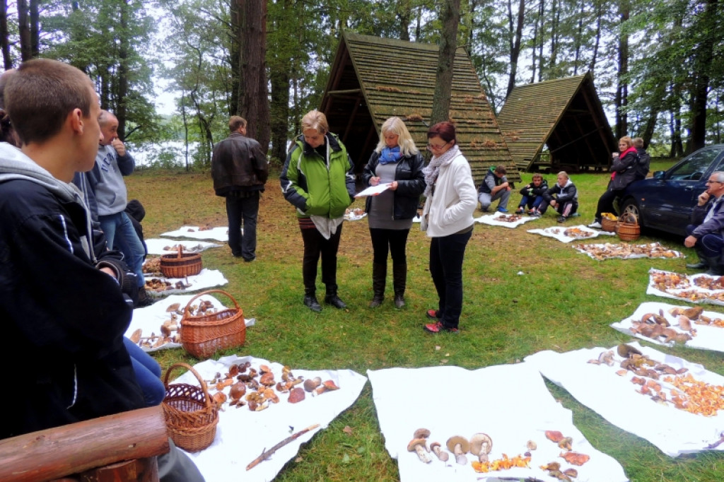 V Wojewódzki Konkurs ?Grzybobranie na wrzosowej polanie?