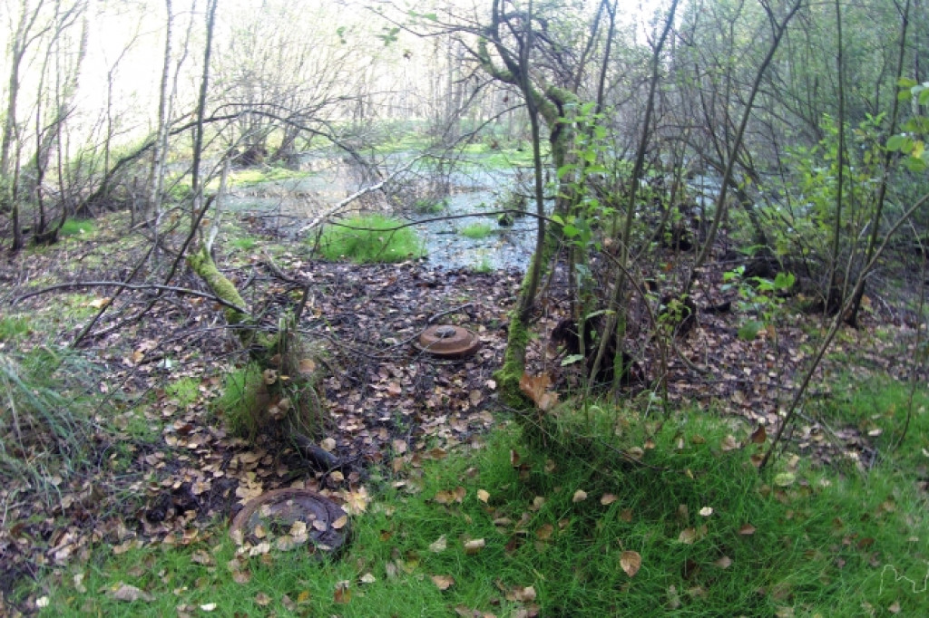 Niebezpieczne znalezisko w podszczecineckim lesie