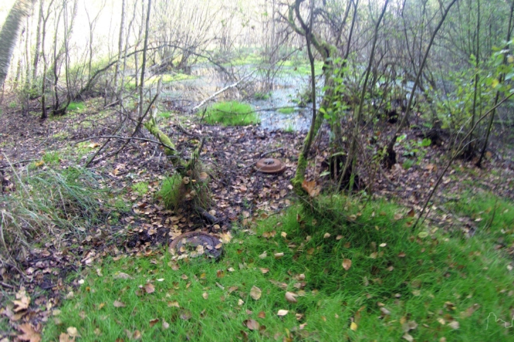 Niebezpieczne znalezisko w podszczecineckim lesie