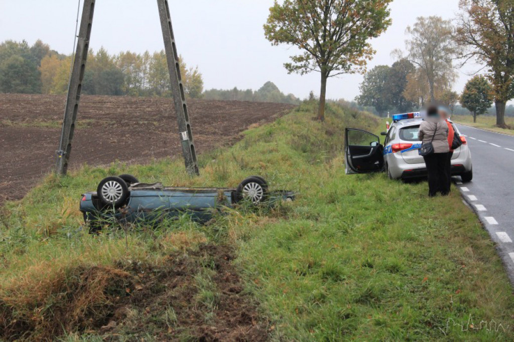 Dachowanie koło Jelenina