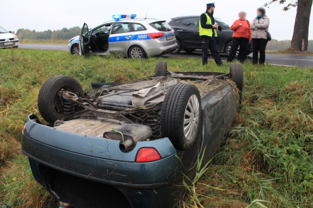 Dachowanie koło Jelenina