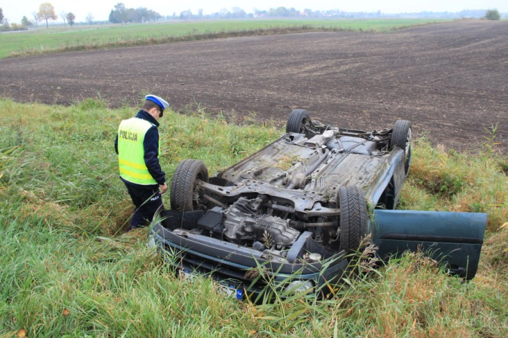 Dachowanie koło Jelenina