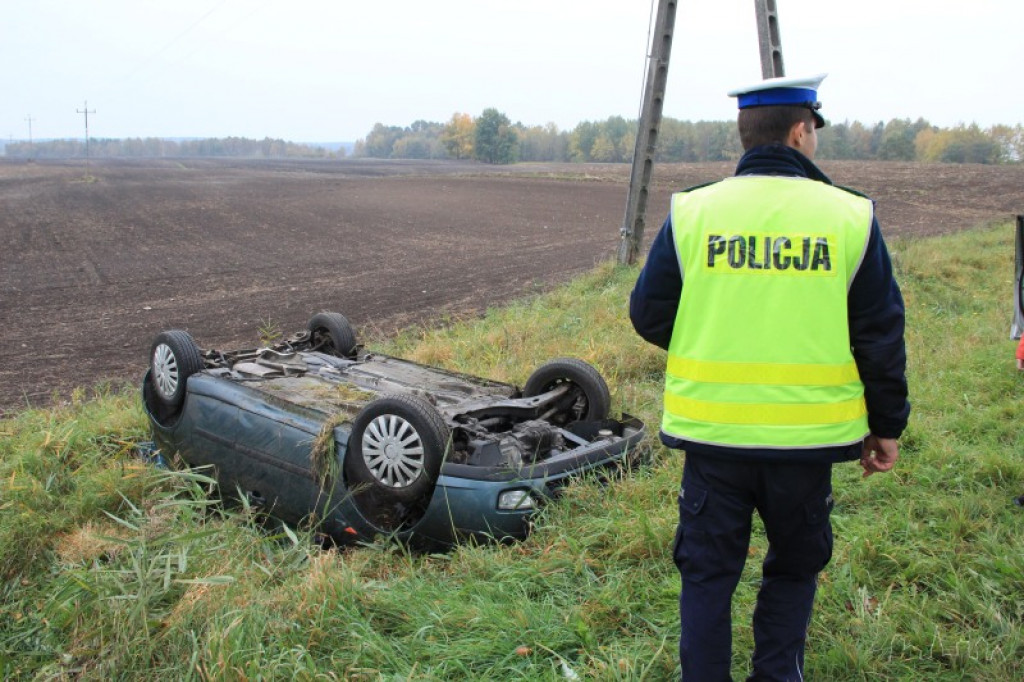 Dachowanie koło Jelenina