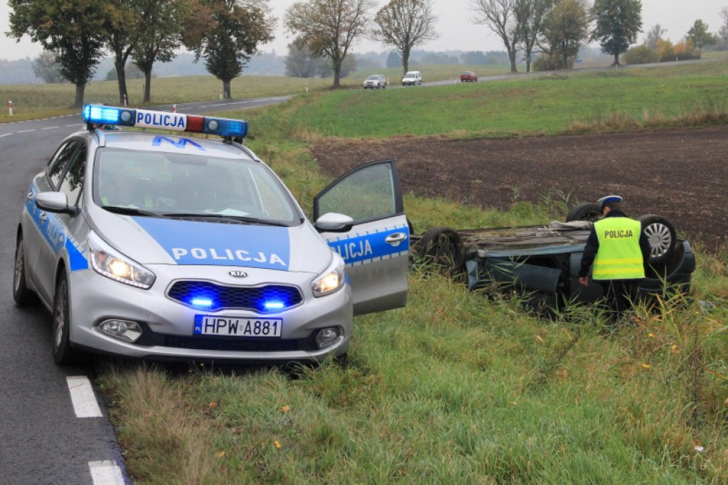 Dachowanie koło Jelenina