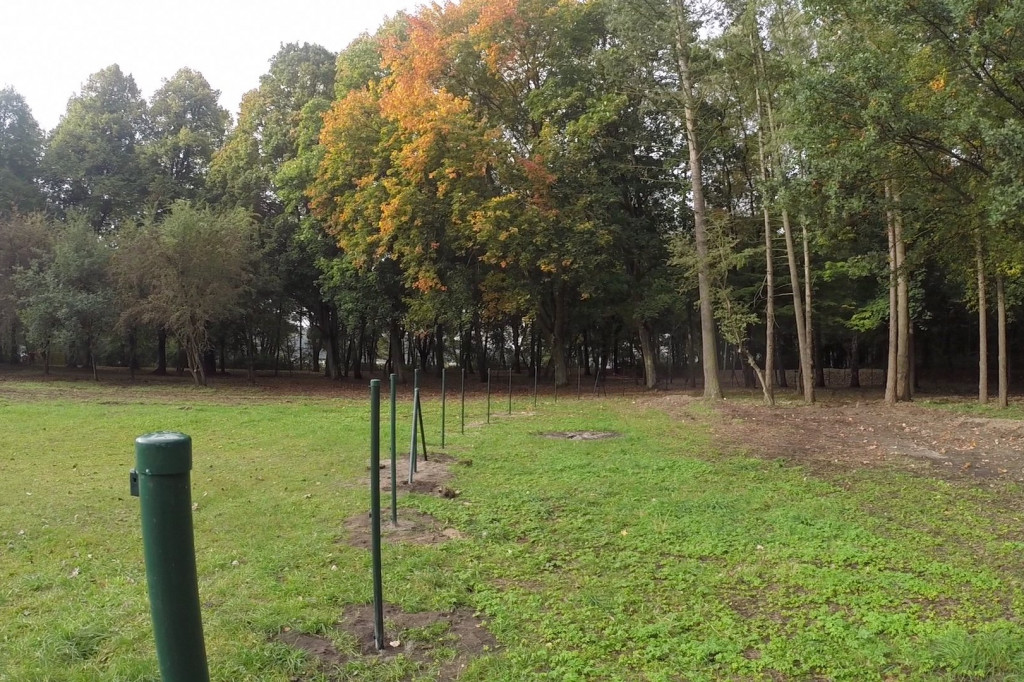 Budowa wybiegu dla psów w Szczecinku