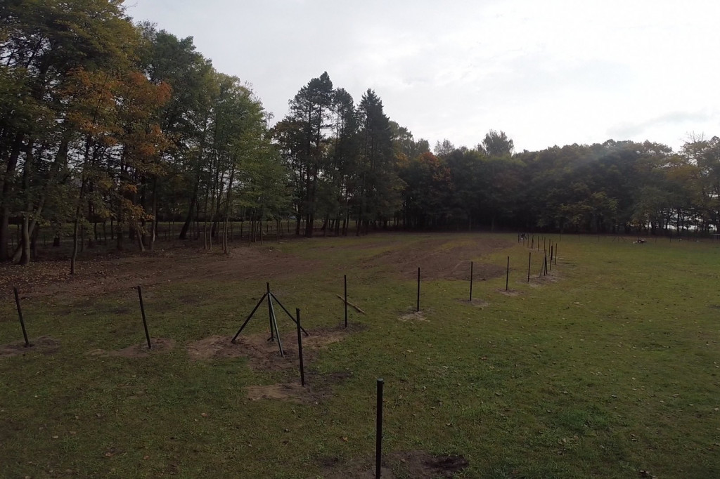 Budowa wybiegu dla psów w Szczecinku