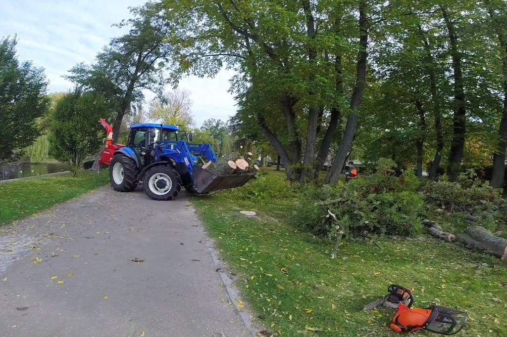 Ruszyła wycinka drzew w parku