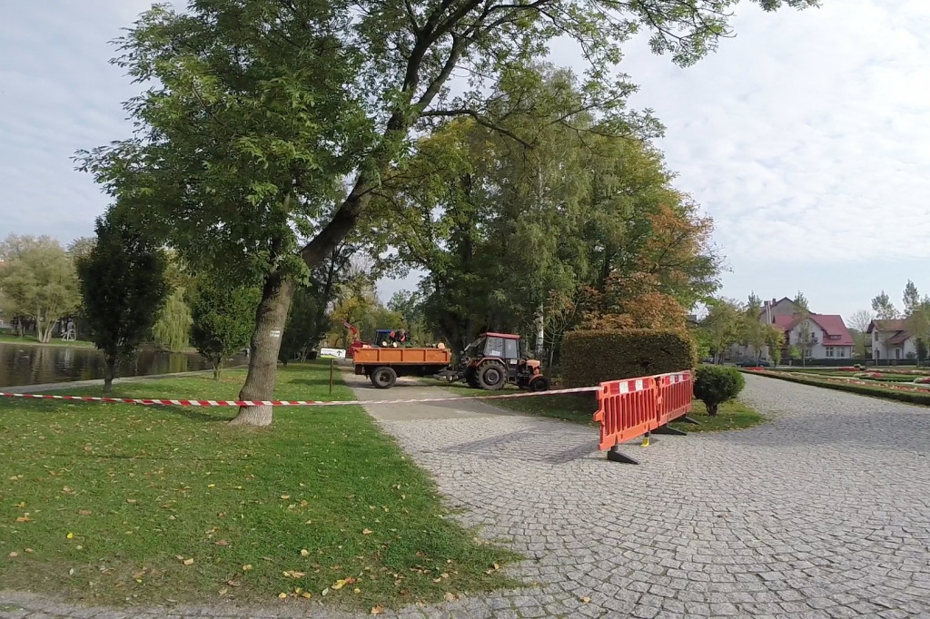 Ruszyła wycinka drzew w parku