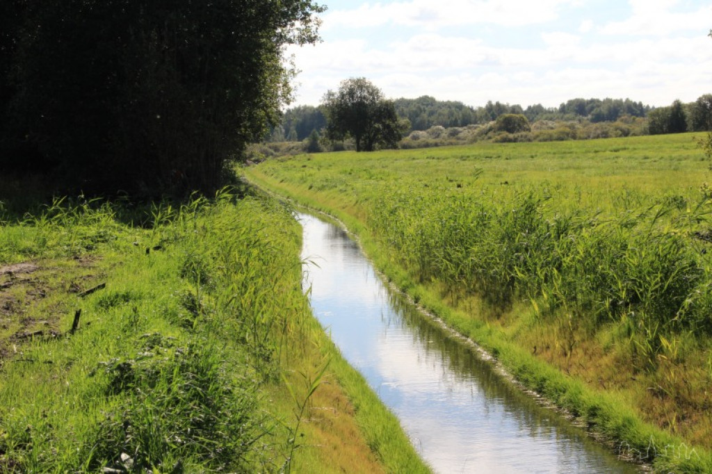 Modernizacja Wilczego Kanału