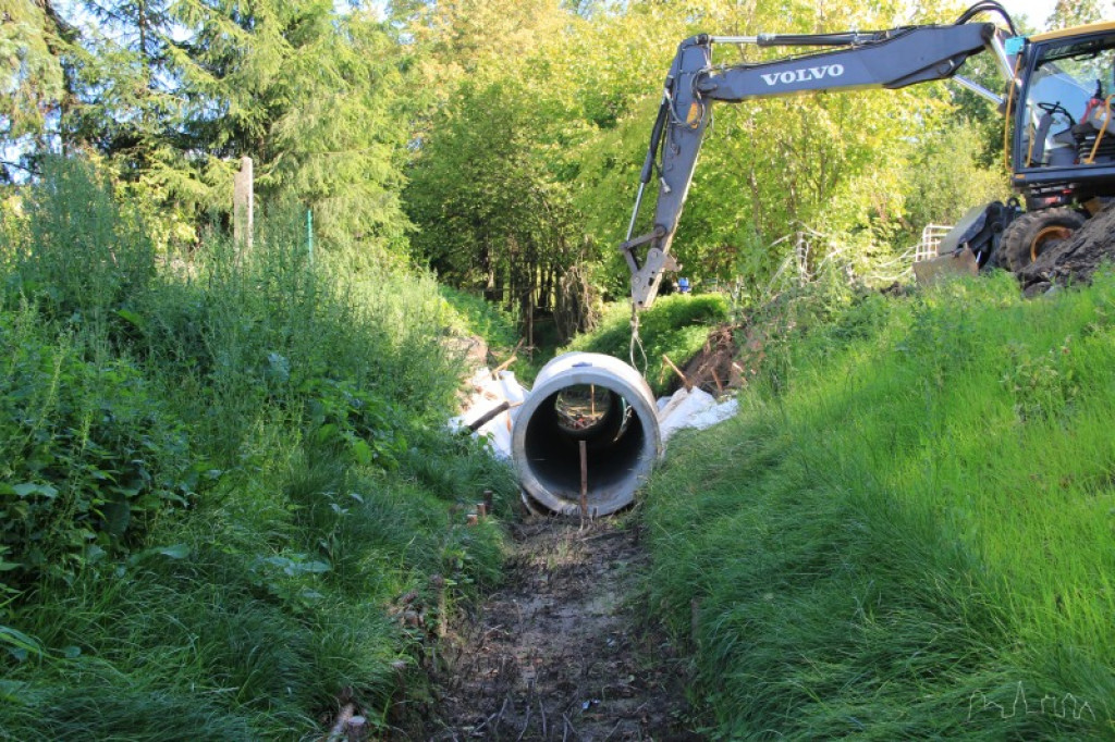 Modernizacja Wilczego Kanału