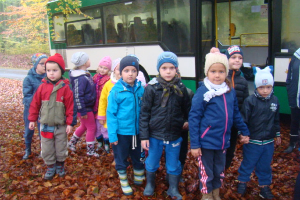 Mali odkrywcy z Misia w odwiedzinach u leśnych przyjaciół