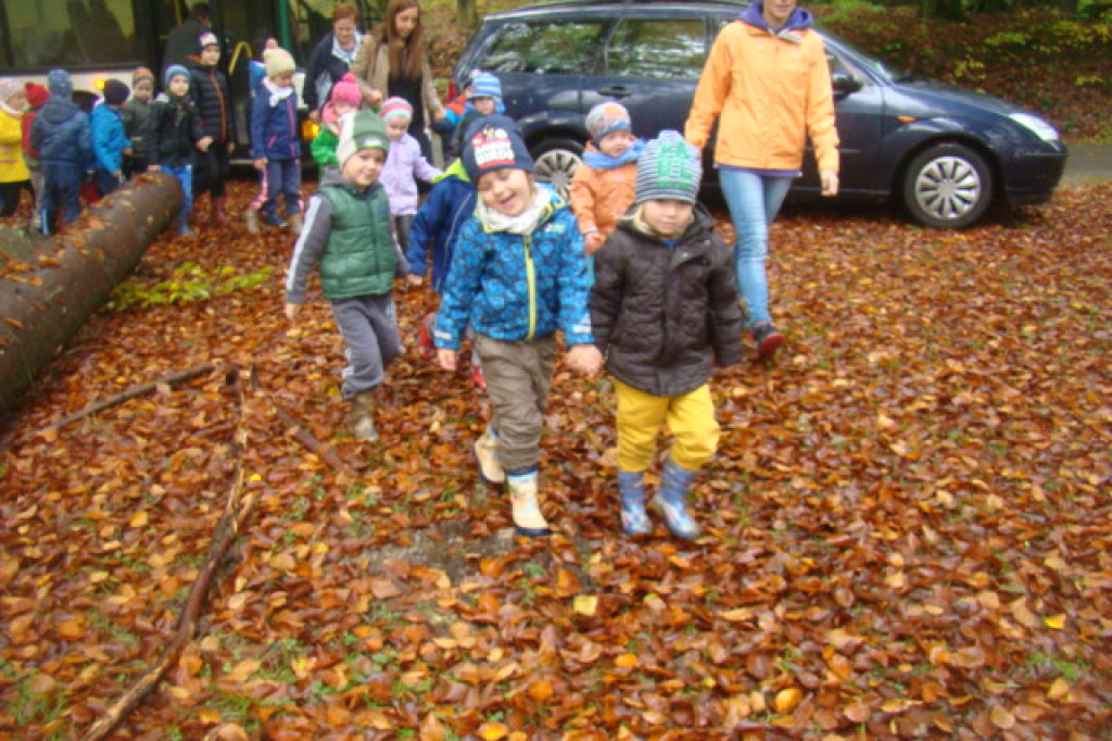 Mali odkrywcy z Misia w odwiedzinach u leśnych przyjaciół