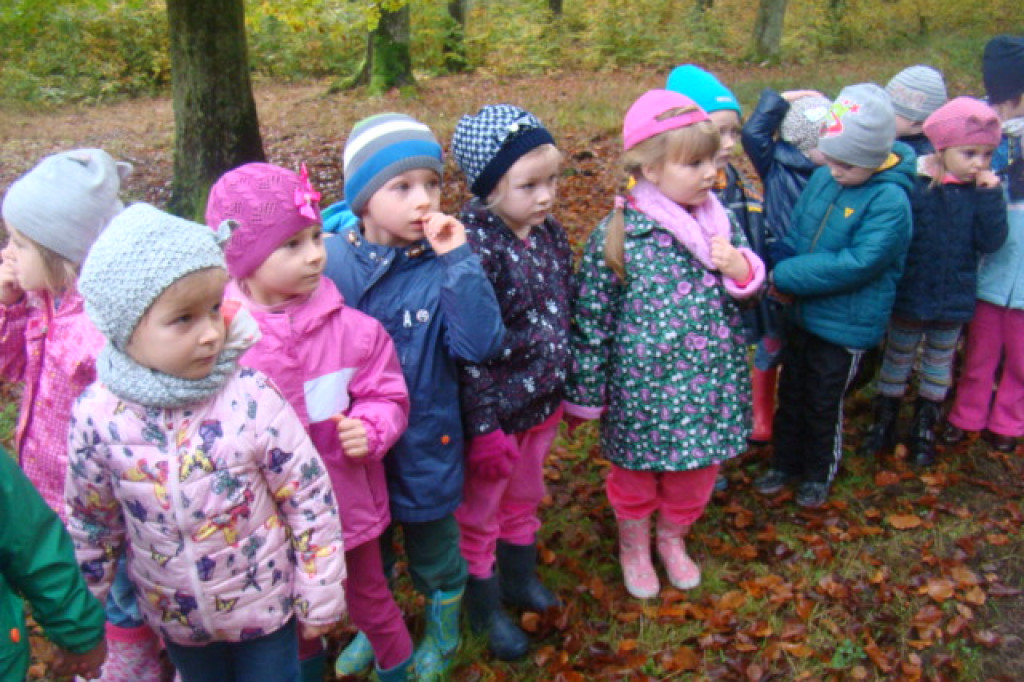 Mali odkrywcy z Misia w odwiedzinach u leśnych przyjaciół