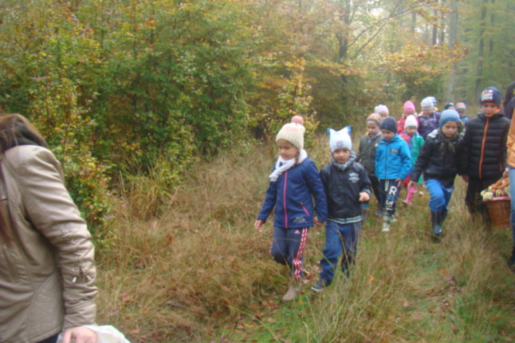 Mali odkrywcy z Misia w odwiedzinach u leśnych przyjaciół