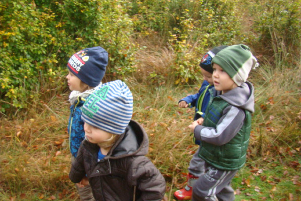 Mali odkrywcy z Misia w odwiedzinach u leśnych przyjaciół