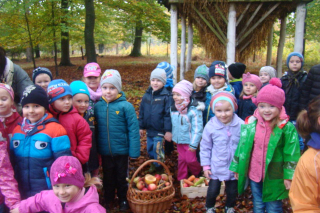 Mali odkrywcy z Misia w odwiedzinach u leśnych przyjaciół